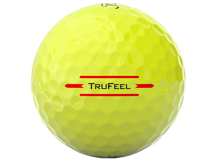 TRUFEEL 2024�N���f�� [�C�G���[]