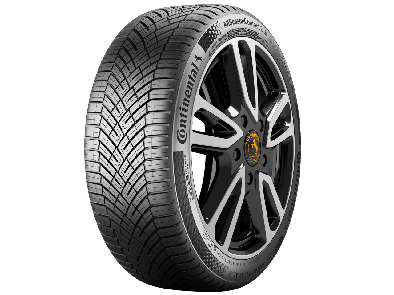 [1�{] AllSeasonContact 2 255/50R19 107W XL �̐��i�摜