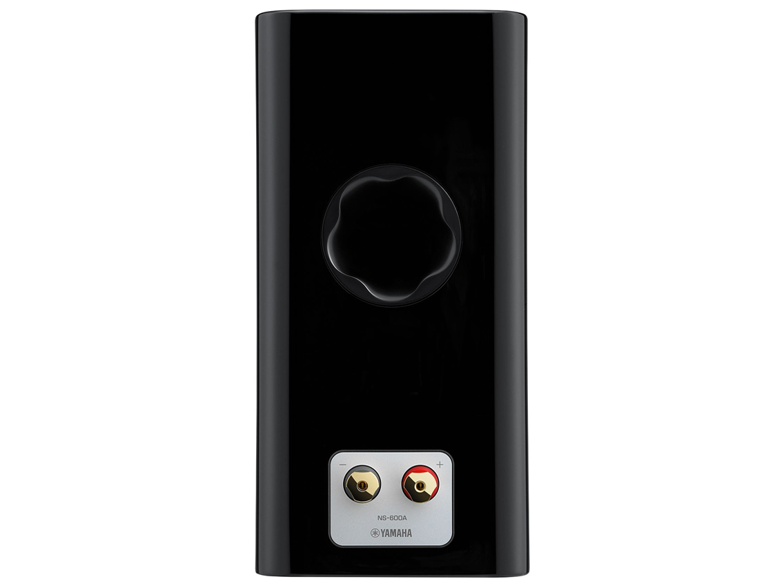 NS-600A(BP) [�s�A�m�u���b�N �P�i]