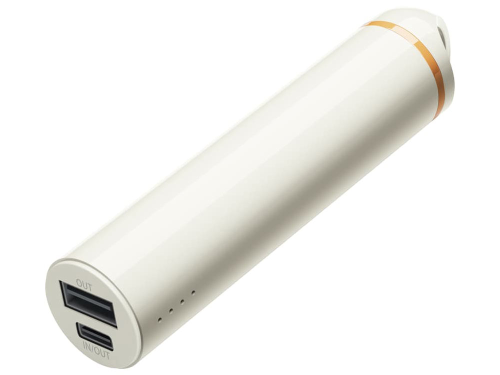 PG-LBJ30A02IV [�A�C�{���[]