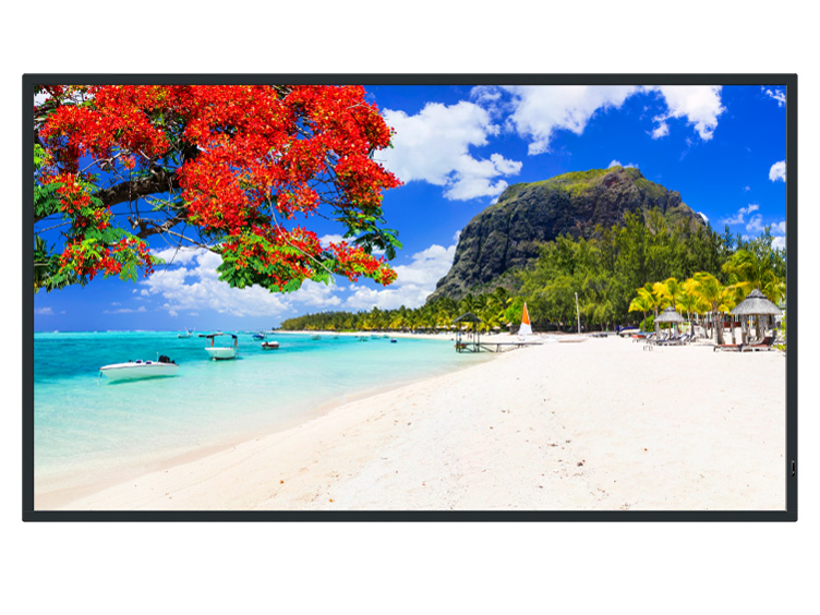 TH-43SQ2HJ [43インチ]