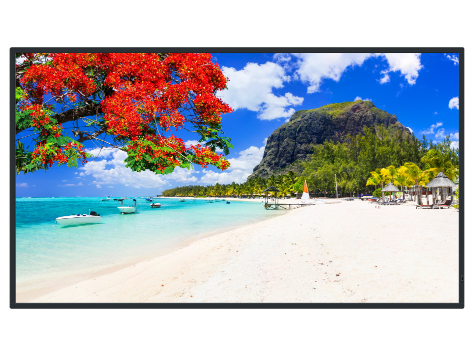 TH-55SQ2HJ [55�C���`] �̐��i�摜