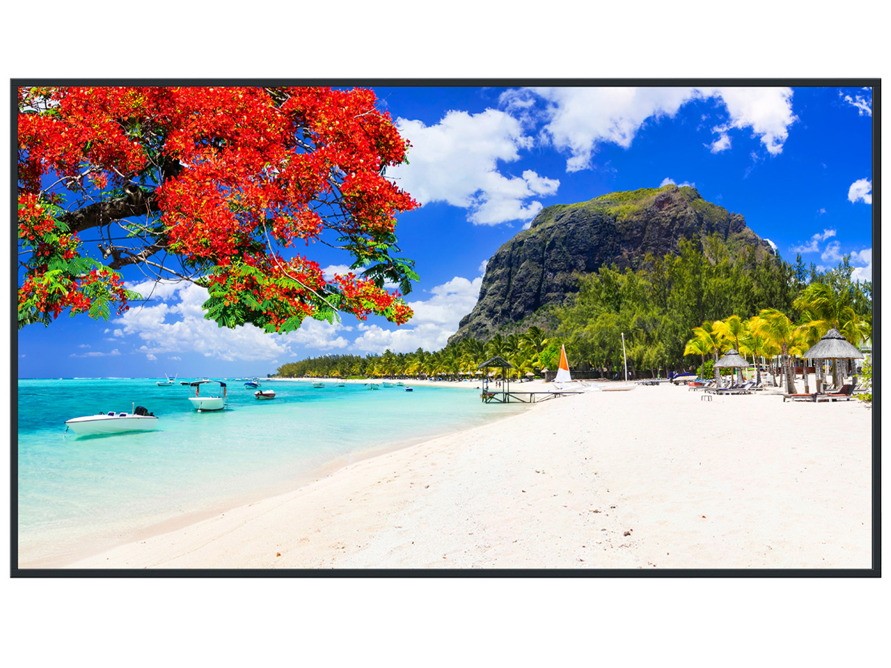 TH-65SQ2HJ [65�C���`] �̐��i�摜