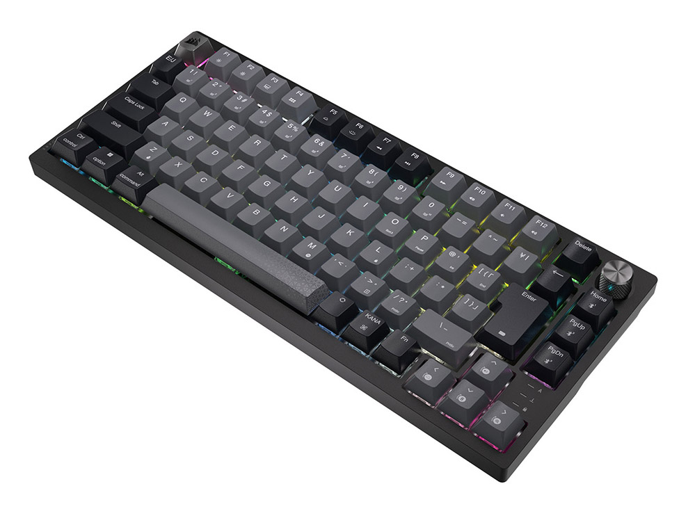 K65 PLUS WIRELESS CH-91D401L-JP