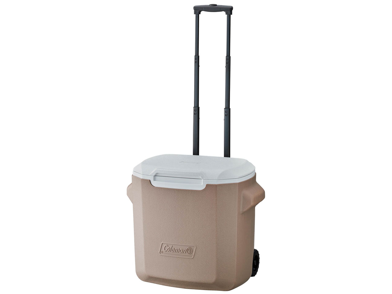 �z�C�[���N�[���[/28QT 2205749 [�O���[�W��] �̐��i�摜