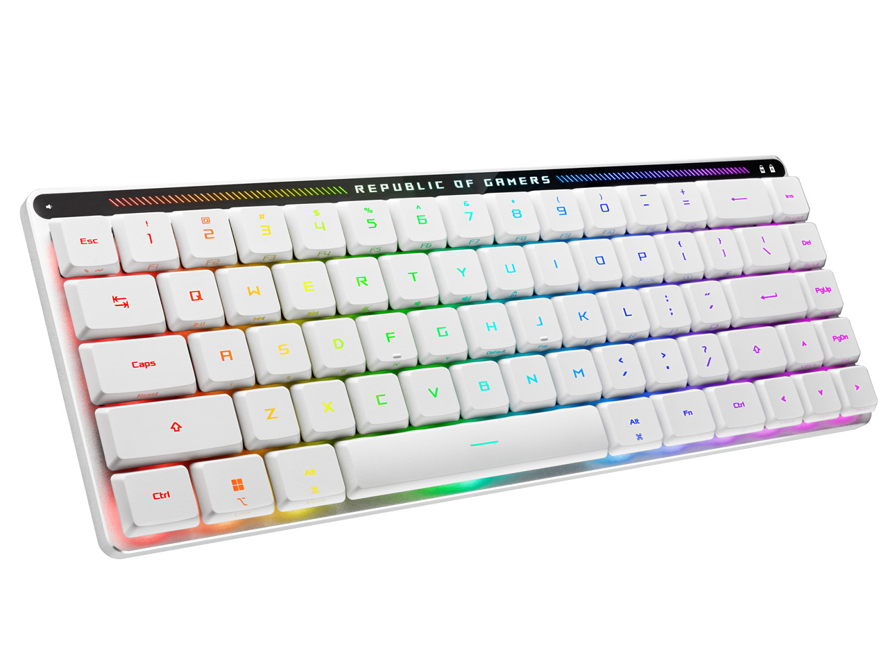 ROG Falchion RX Low Profile �Ԏ� [White]