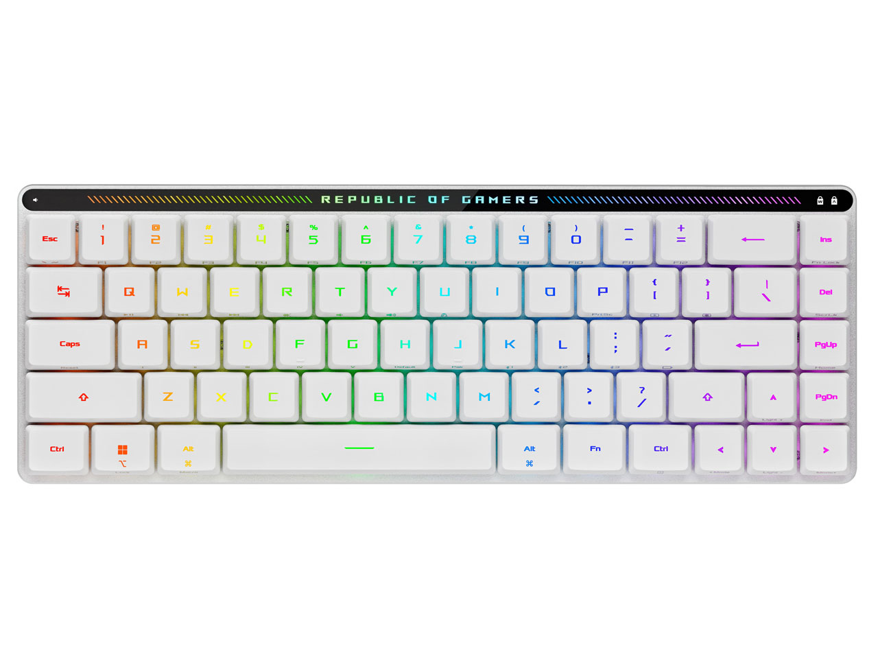 ROG Falchion RX Low Profile �Ԏ� [White] �̐��i�摜