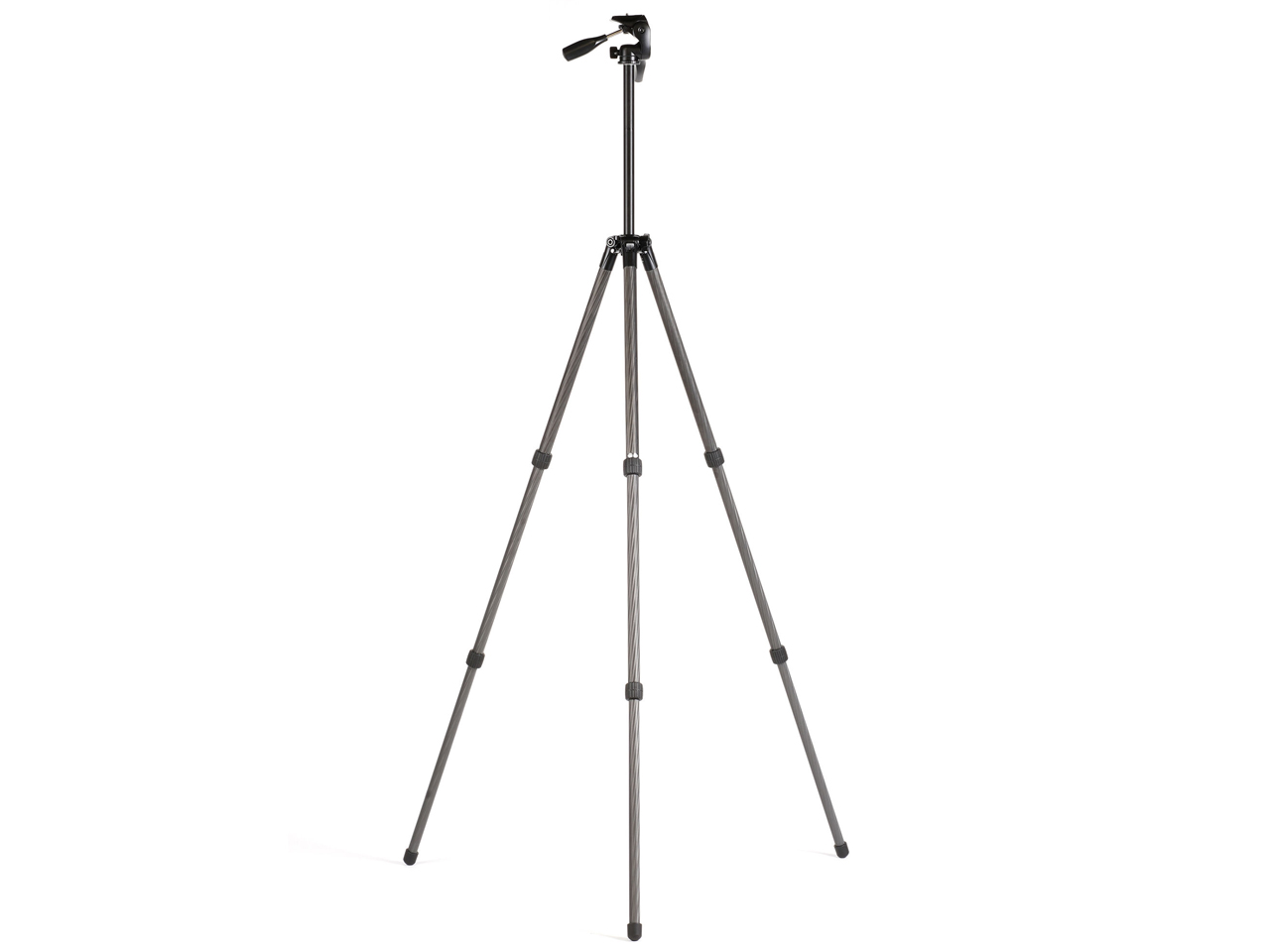 ���C�g�J�[�{�� E83 II