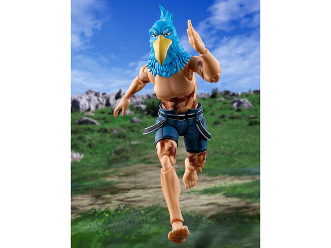 S.H.Figuarts �T�����N