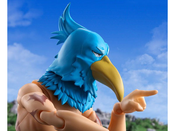 S.H.Figuarts �T�����N