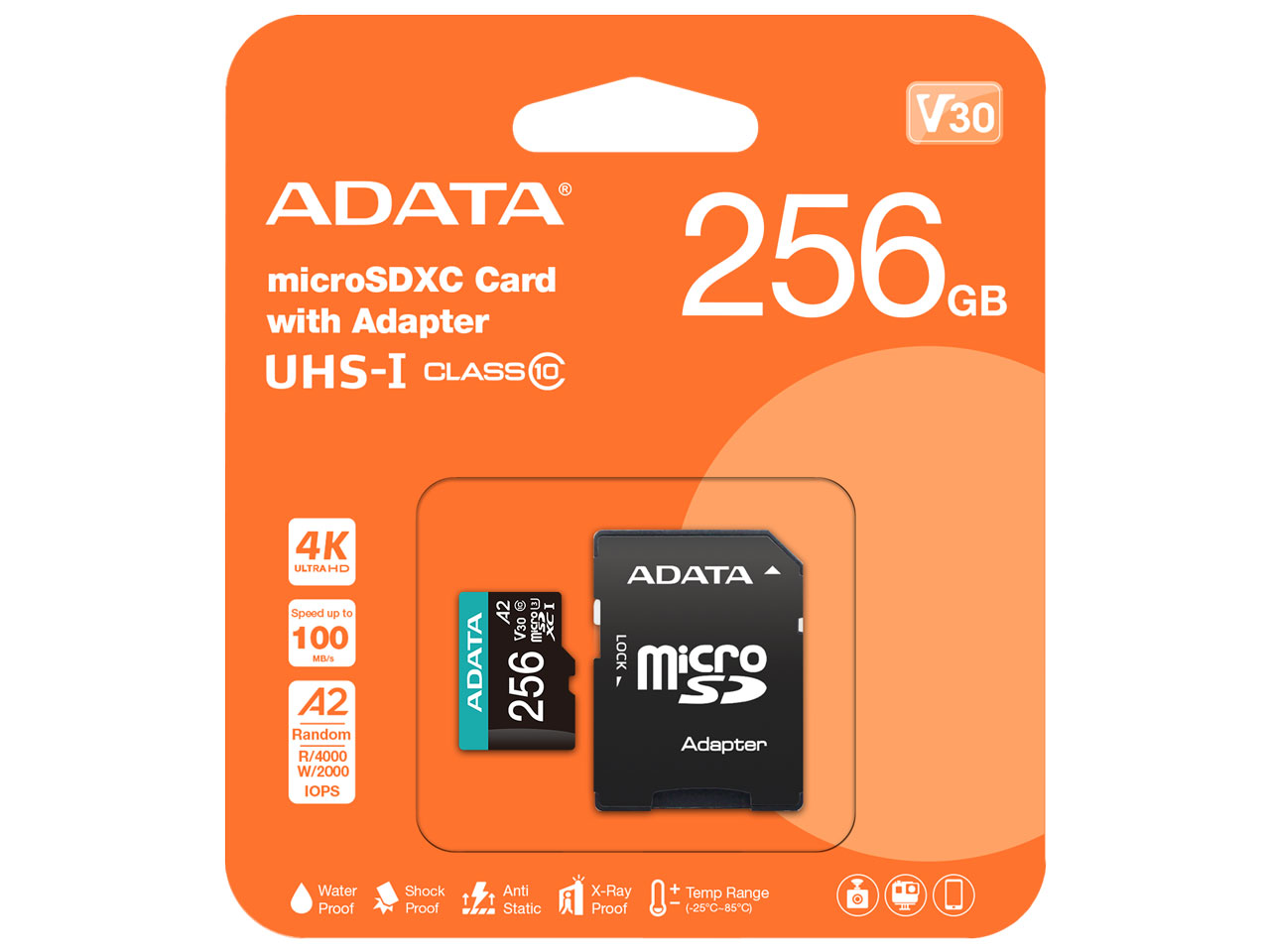 Premier Pro AUSDX256GUI3V30SA2-RA1 [256GB] �̐��i�摜