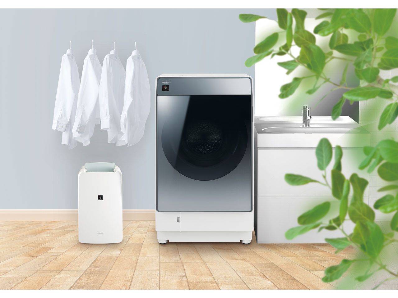 CV-S71-W [�z���C�g�n]