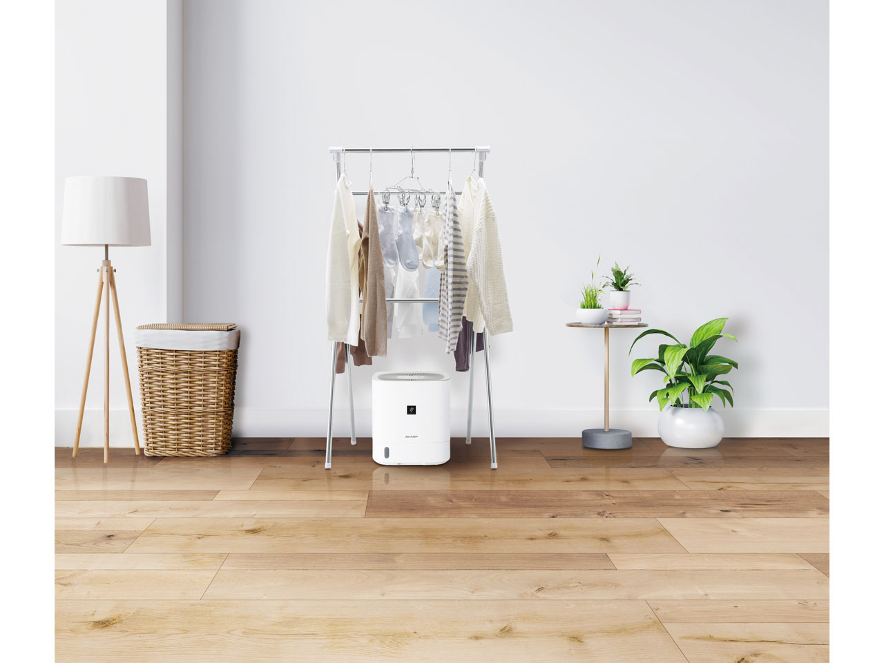 CV-S60-W [�z���C�g�n]