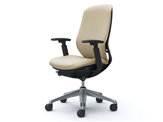 Sylphy C687BR FXW2 [�x�[�W��] �̐��i�摜