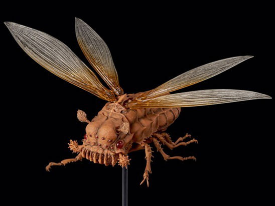 �^�P�������ݒu�� ���̒J�̃i�E�V�J �E�V�A�u ����R�~�b�N�X�J���[Ver. �̐��i�摜