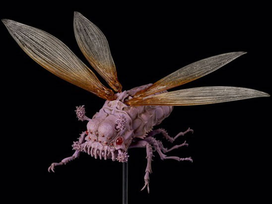 �^�P�������ݒu�� ���̒J�̃i�E�V�J �E�V�A�u �f��{�҃J���[Ver. �̐��i�摜