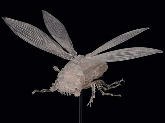 �^�P�������ݒu�� ���̒J�̃i�E�V�J �E�V�A�u �N���AVer. �̐��i�摜