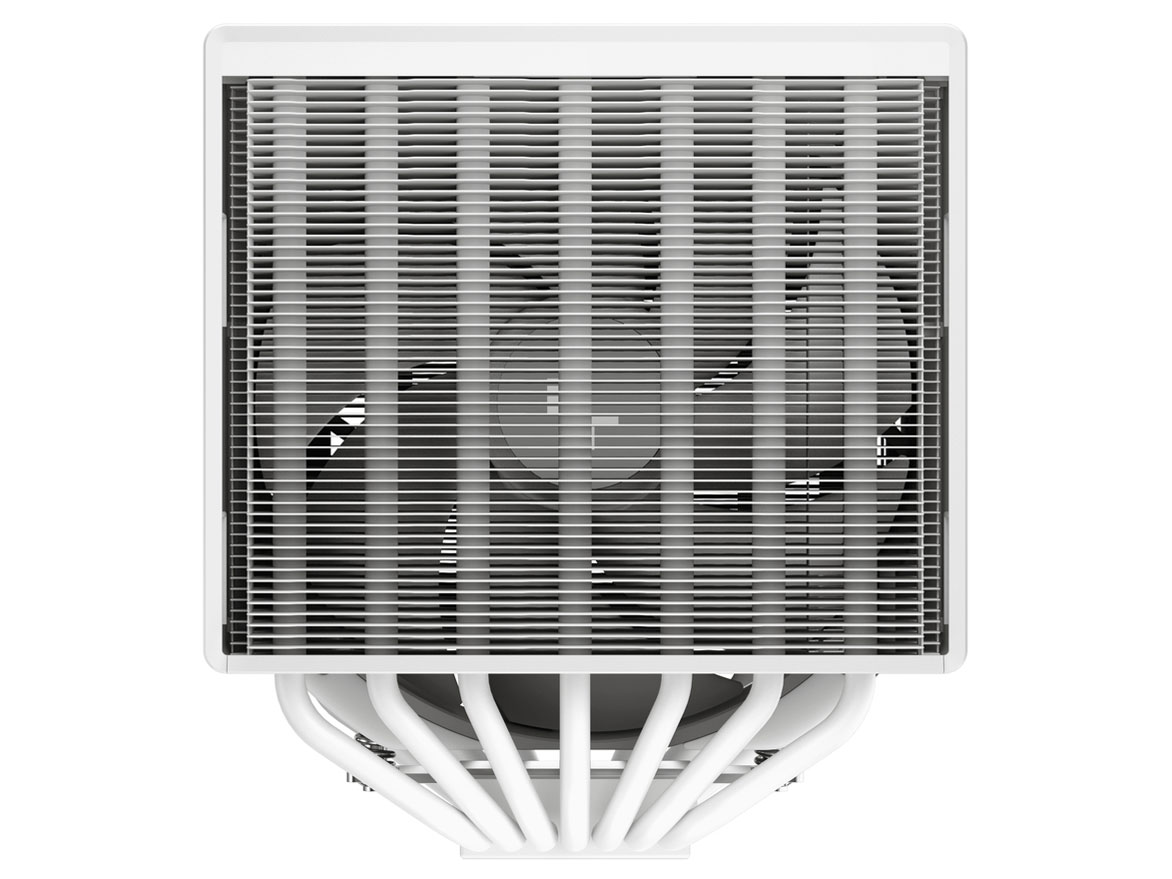 ASSASSIN 4S WH R-ASN4S-WHGPMN-G [�z���C�g]