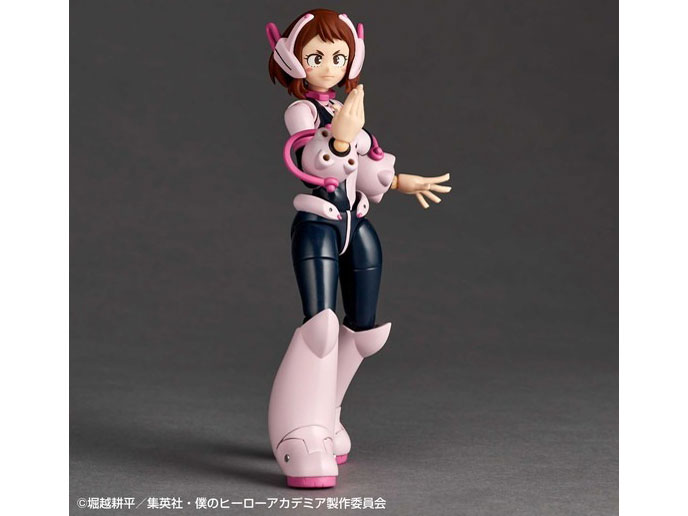 ���{���e�b�N �l�̃q�[���[�A�J�f�~�A ��������q