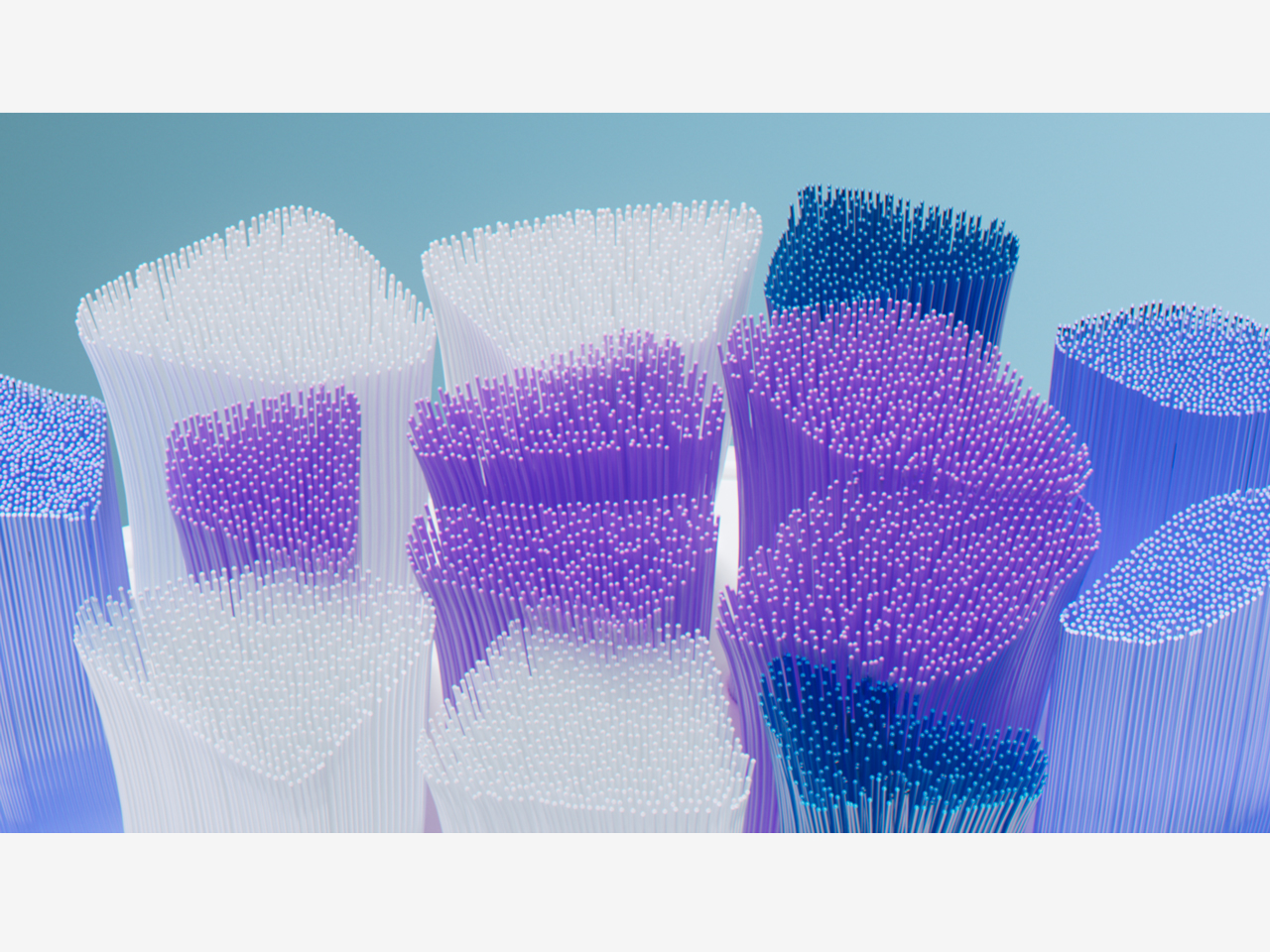 HX6052/93 [�z���C�g]