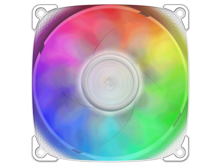 SQUAMA 2501W GF-SQ-2501W-1P [�z���C�g] �̐��i�摜