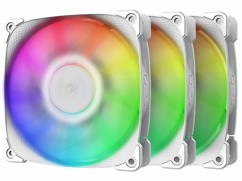 SQUAMA 2501W GF-SQ-2501W-3P [�z���C�g] �̐��i�摜