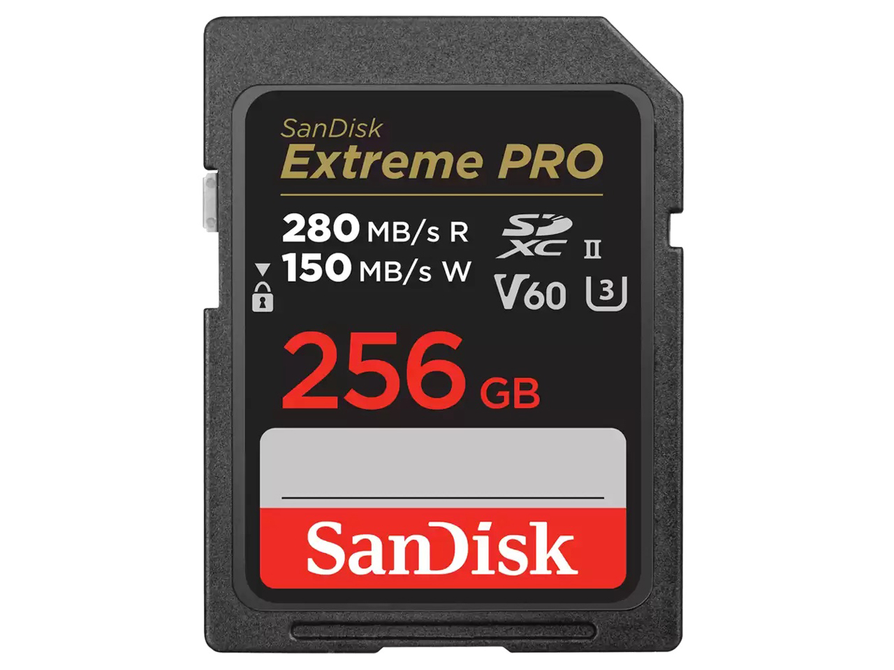 SDSDXEP-256G-GN4IN [256GB] �̐��i�摜