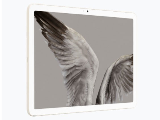 Google Pixel Tablet Wi-Fi���f�� 256GB �P�̔� [Porcelain]