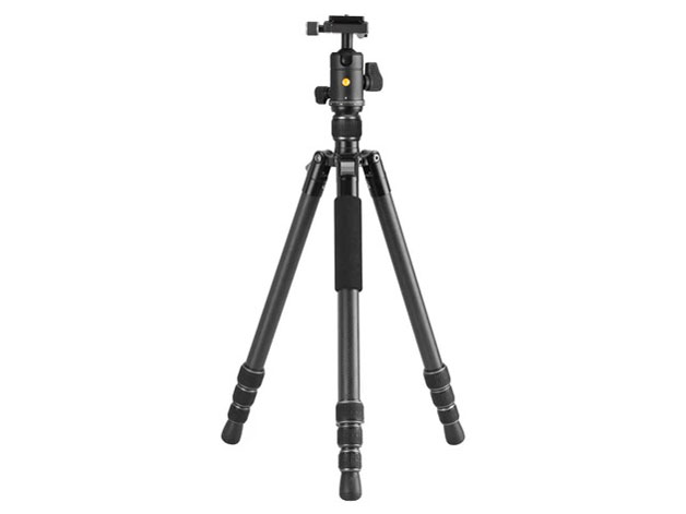 VESTA GO 264CB �̐��i�摜