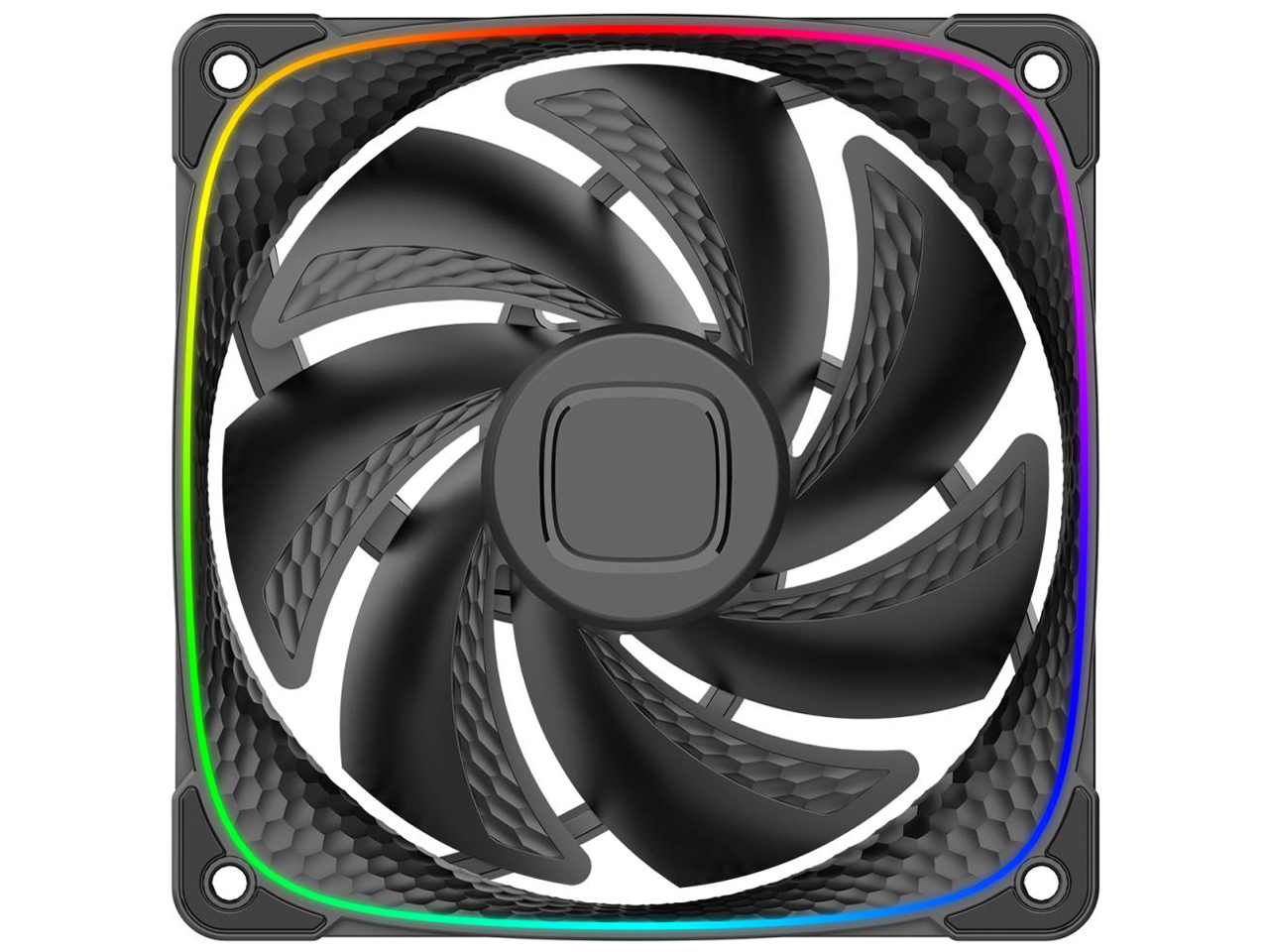 SQUAMA 2503B GF-SQ-2503B-1P [�u���b�N] �̐��i�摜