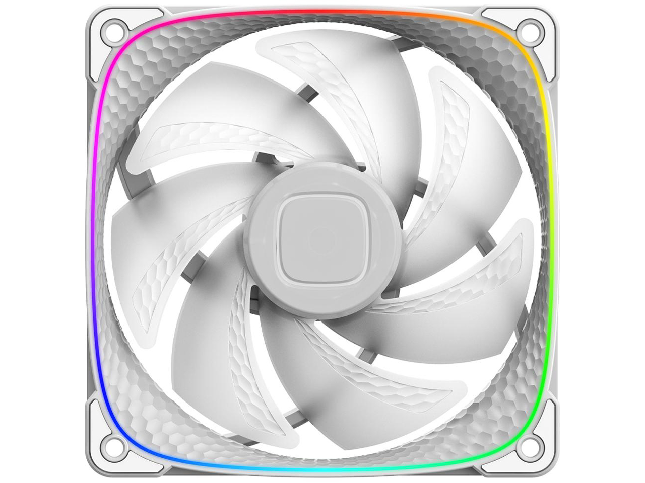 SQUAMA 2503W GF-SQ-2503W-1P [�z���C�g] �̐��i�摜