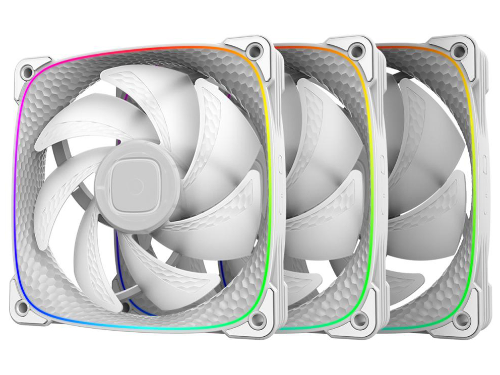 SQUAMA 2503W GF-SQ-2503W-3P [�z���C�g] �̐��i�摜