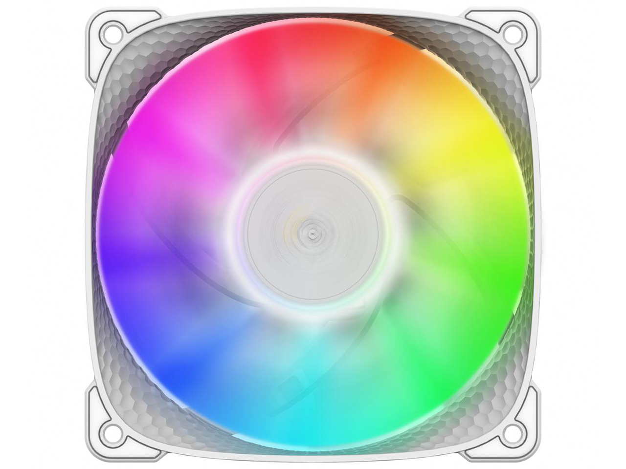 SQUAMA 2505W GF-SQ-2505W-1P [�z���C�g] �̐��i�摜