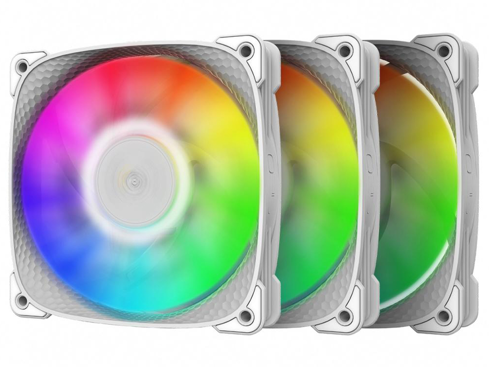 SQUAMA 2505W GF-SQ-2505W-3P [�z���C�g] �̐��i�摜