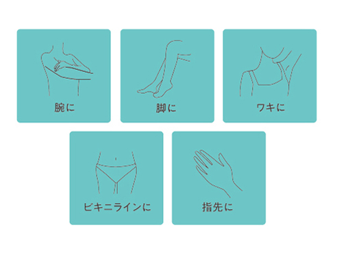 TT263A-W [�z���C�g]