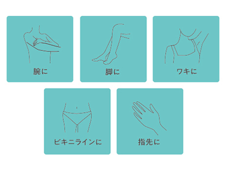 TT363A-W [�z���C�g]