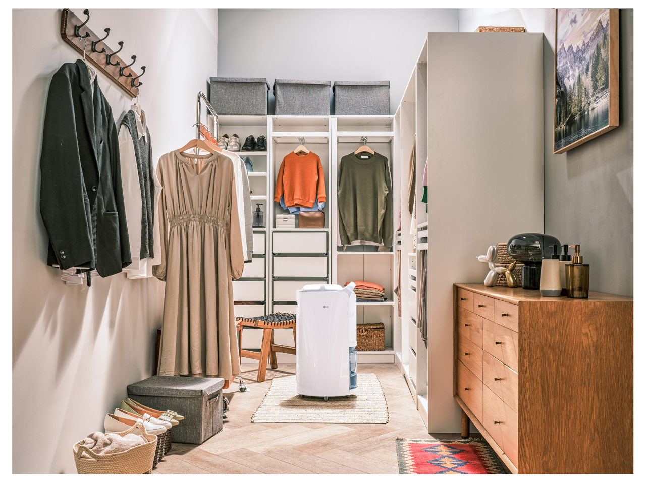 LG PuriCare DD177QSE0 [�V���o�[]