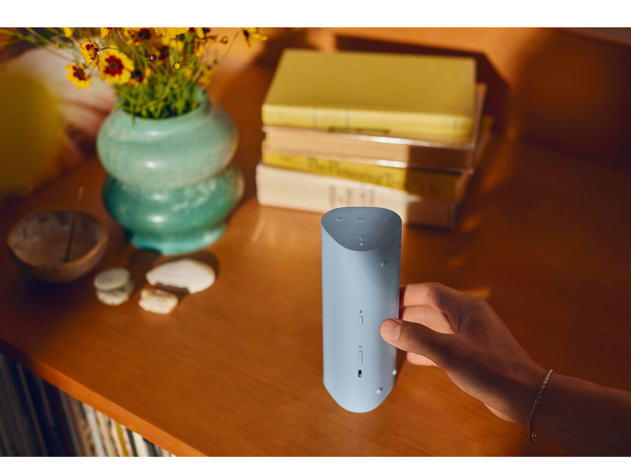 Sonos Roam 2 [�I�[�V�����u���[]