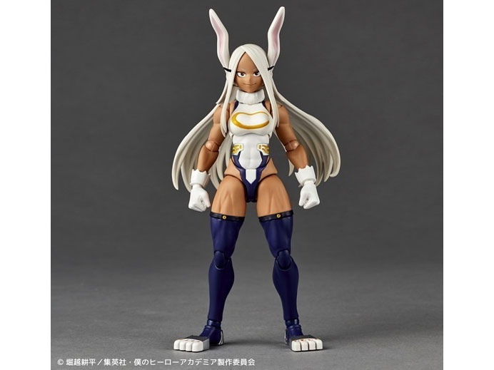 ���{���e�b�N �l�̃q�[���[�A�J�f�~�A �~���R �̐��i�摜