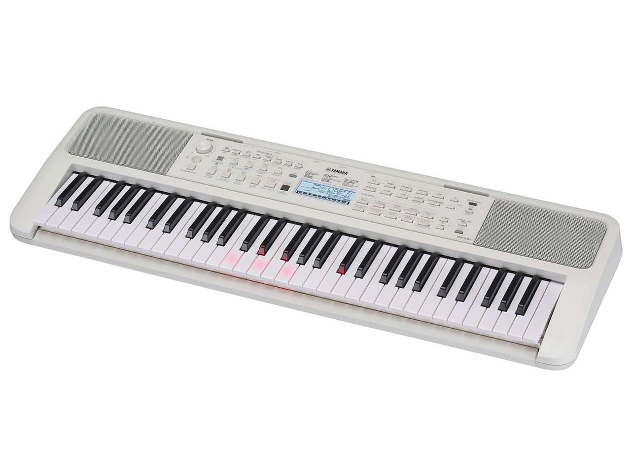 EZ-310 [�z���C�g]