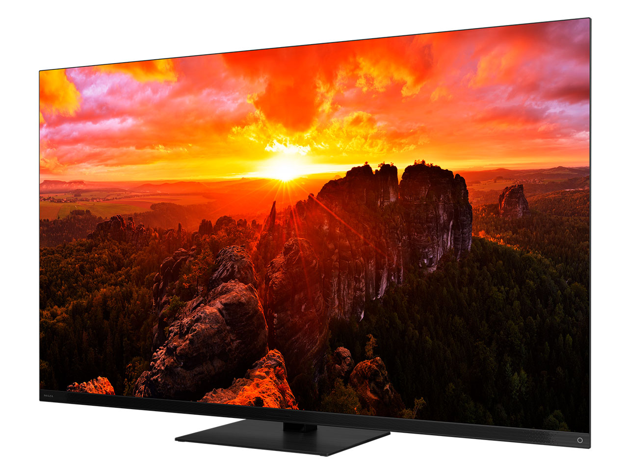 REGZA 65X9900N [65�C���`]