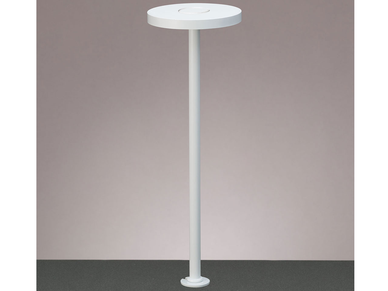 Z-LIGHT ZR-2NW [�z���C�g] �̐��i�摜