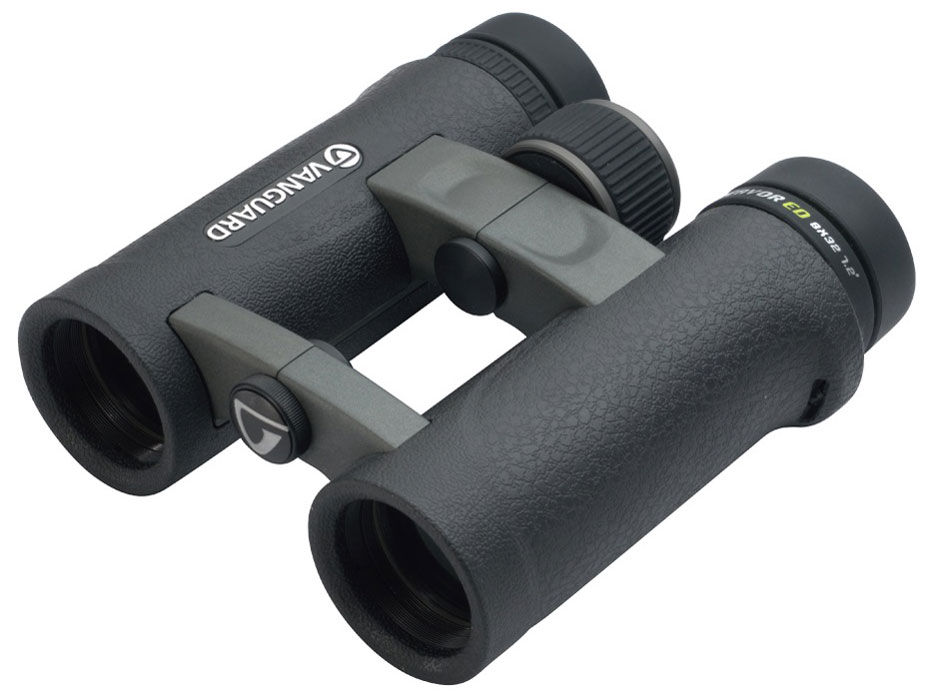 �G���f�o�[ED 8320 �̐��i�摜