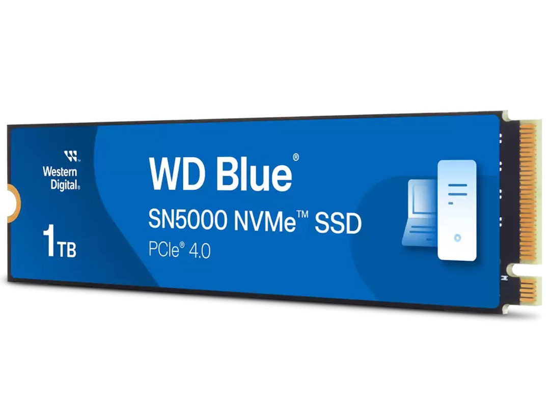 WD Blue SN5000 NVMe WDS100T4B0E
