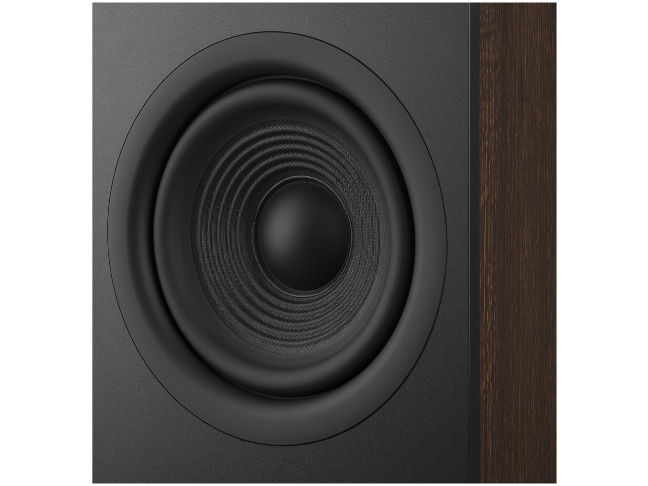 STAGE 260F BLK [�G�X�v���b�\ �P�i]