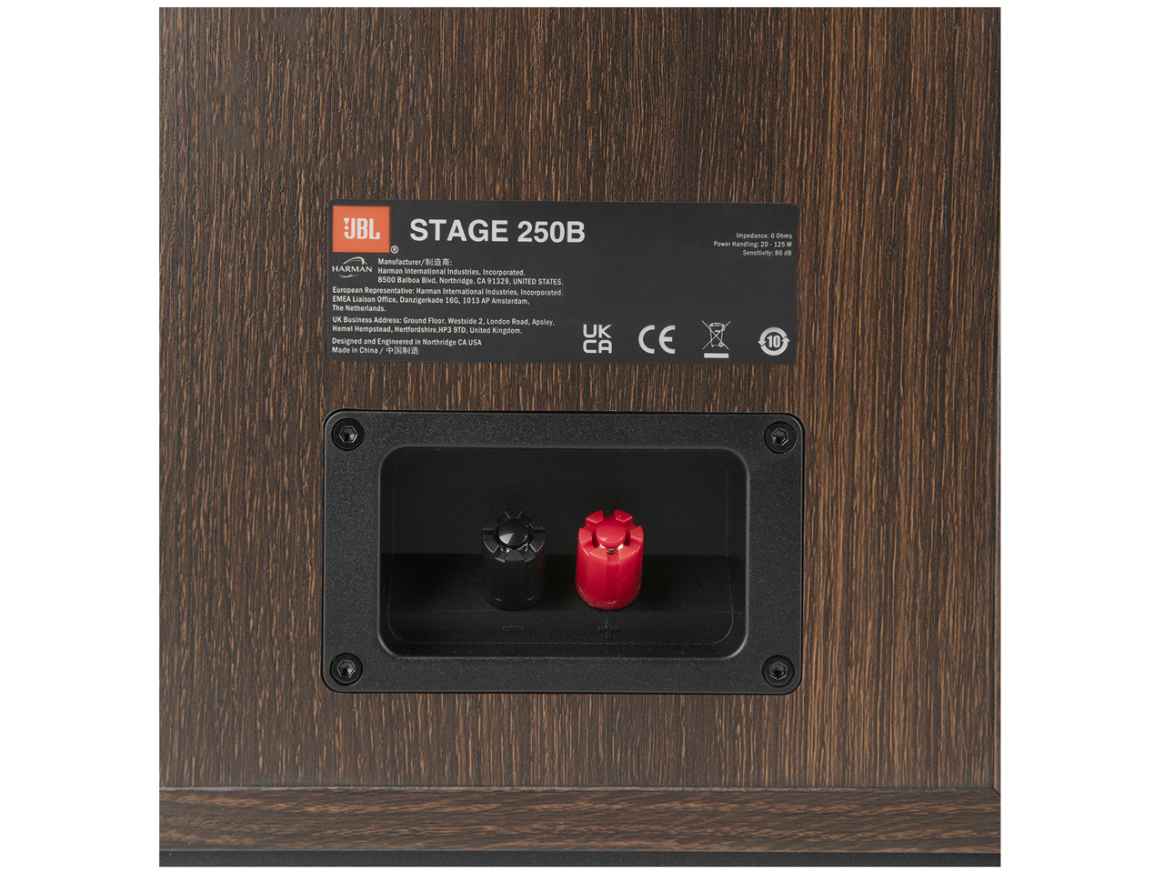 STAGE 250B BLK [�G�X�v���b�\ �y�A]