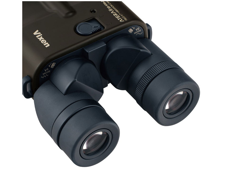 ATERA II ED H16×50WP [�u���b�N�u���E��]