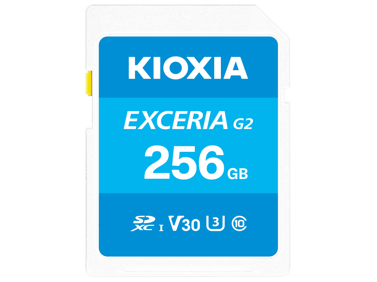 EXCERIA G2 LNEX2L256GG4 [256GB] �̐��i�摜