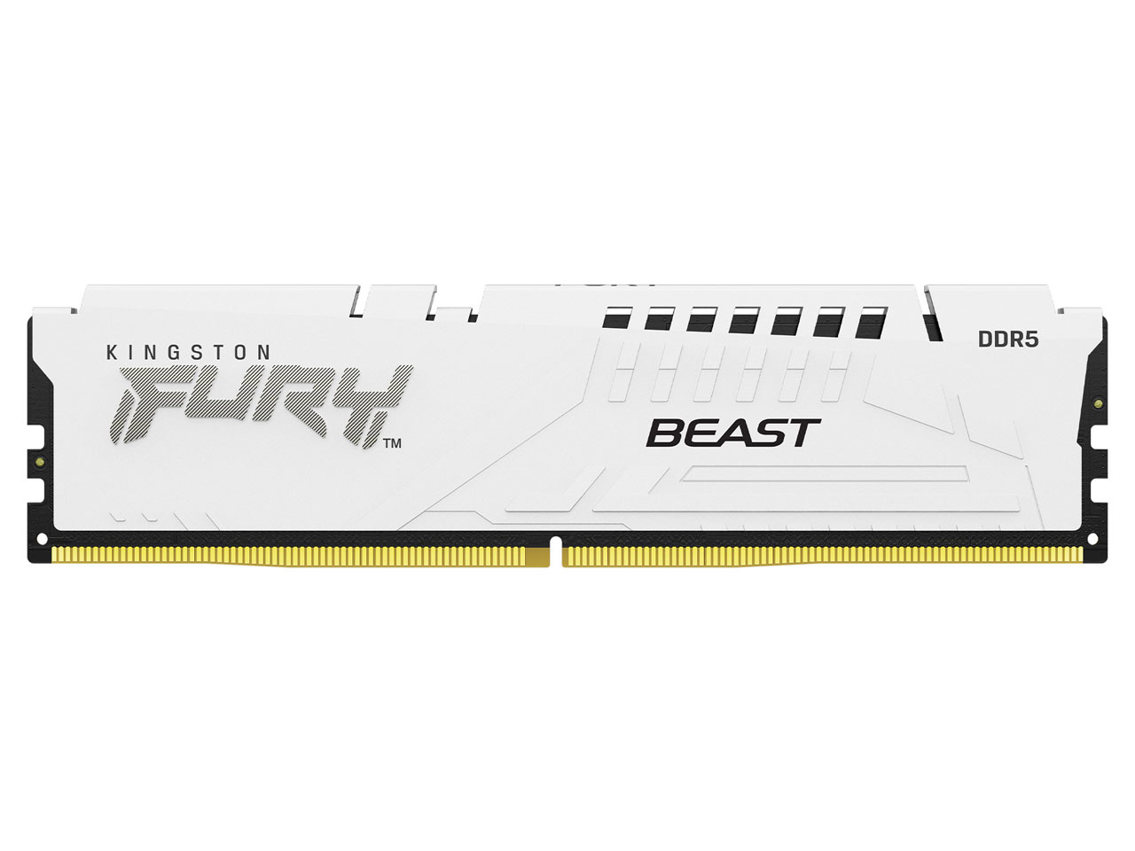 KF560C30BW-16 [DDR5 PC5-48000 16GB] �̐��i�摜