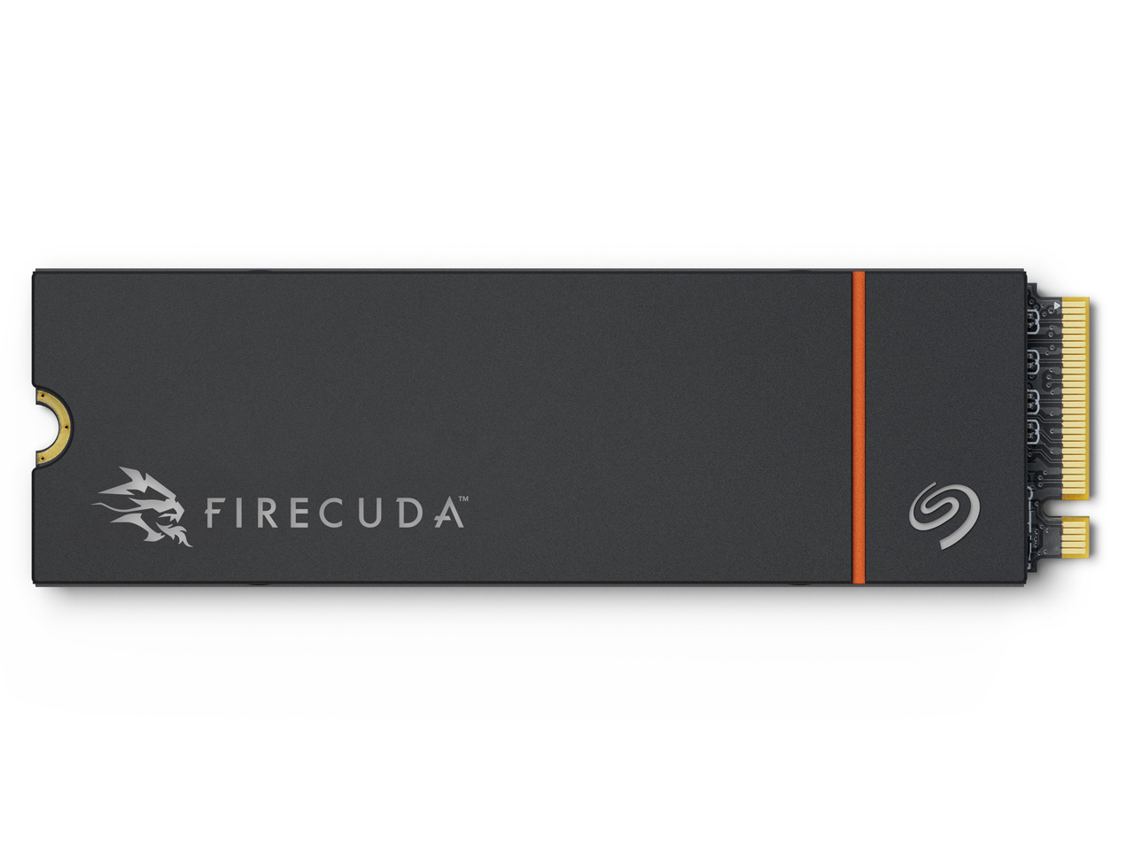 FireCuda 530R ZP4000GM3A073 �̐��i�摜